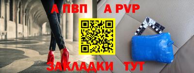 СК Кингисепп