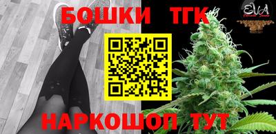 СК Кингисепп