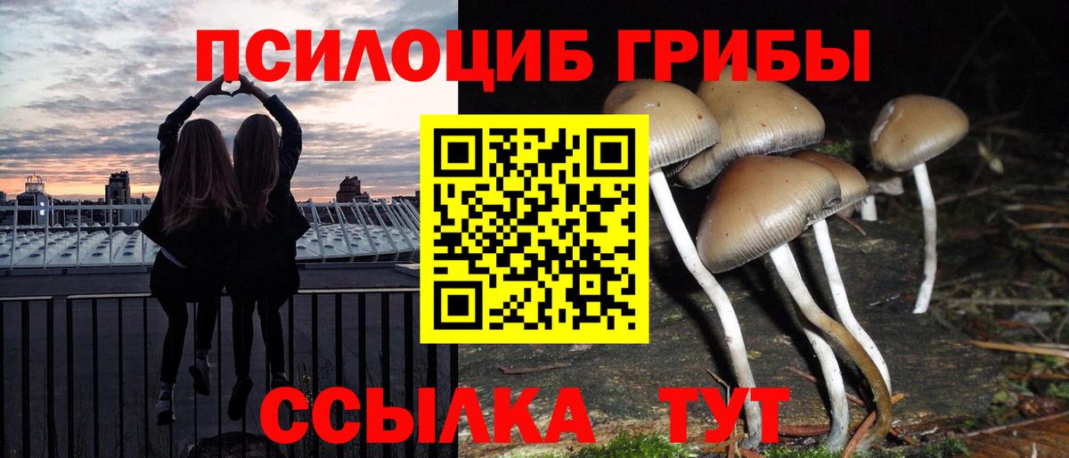 Галлюциногенные грибы Cubensis Кузнецк